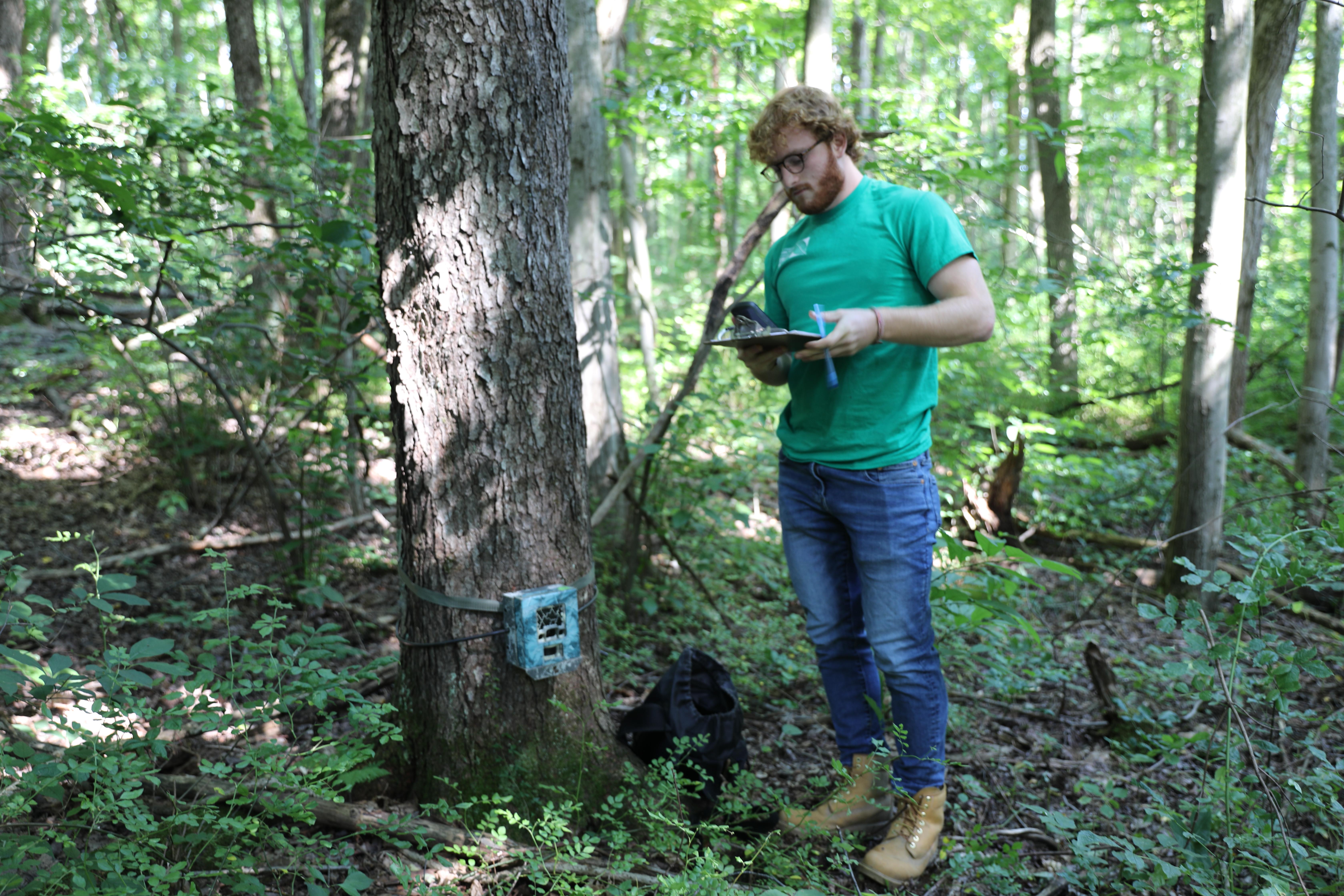 一名学生在自然中心的一棵树上安装了一个跟踪摄像头